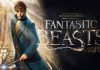 Listen and download Fantastic Beasts and Where to Find Them Audiobook free
