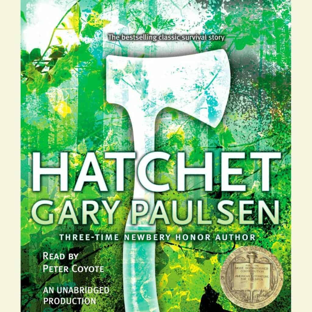 hatchet book 2