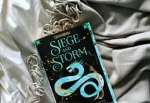 Siege and Storm Audiobook free download
